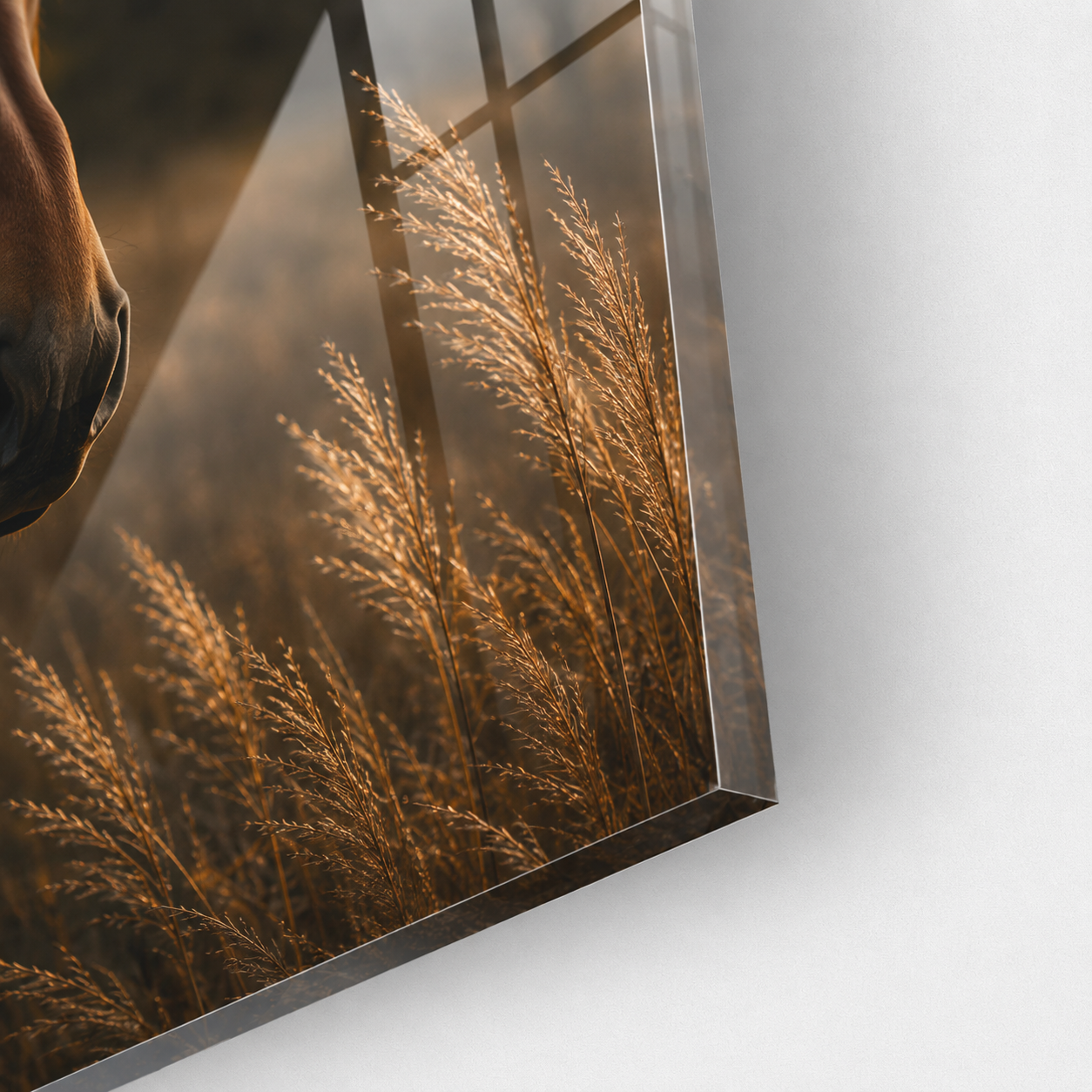 Plexiglas Wanddecoratie